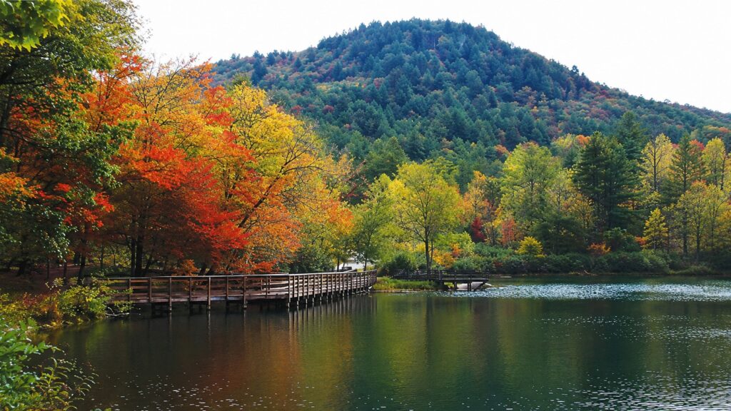 Stone mountain fishing lake