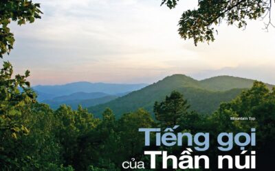 Tiếng gọi của Thần núi – Công viên Tiểu bang Black Rock Mountain